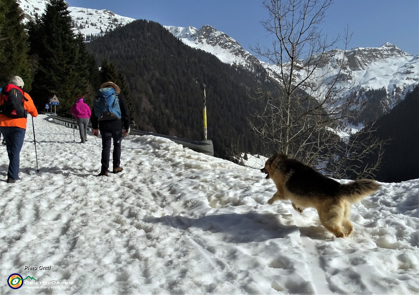 14 Bello correre  nella neve!.JPG -                                